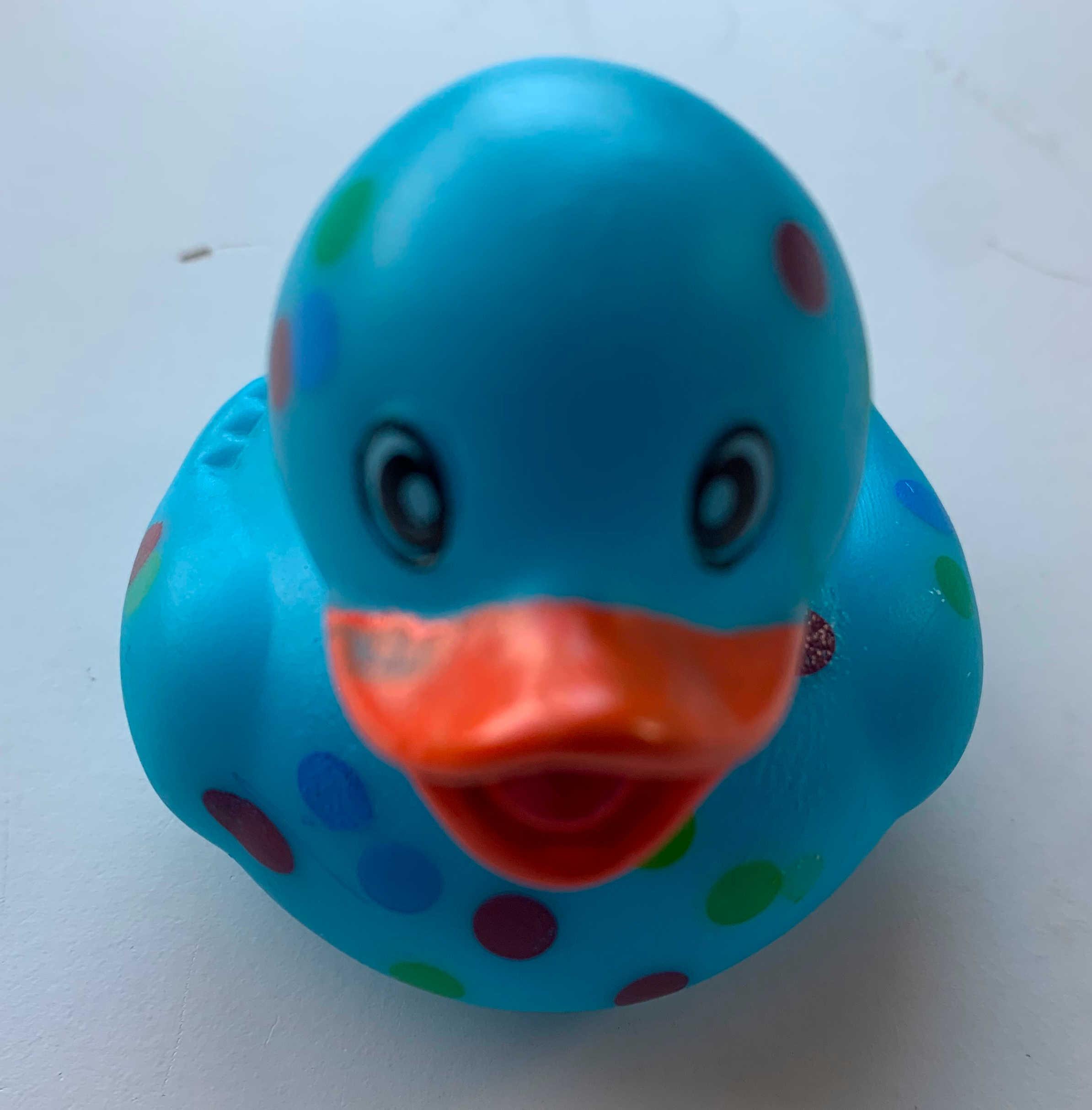 A single rubber duck, colored blue with many-colored dots