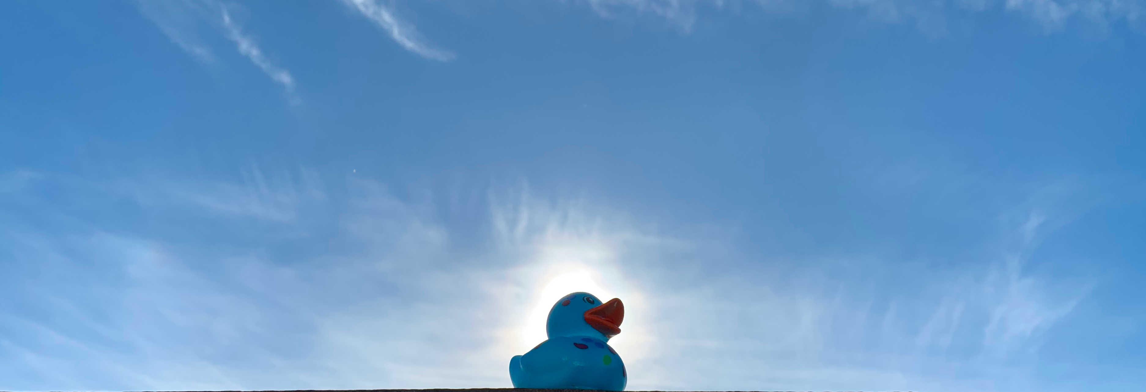 A single rubber duck, colored blue with many-colored dots